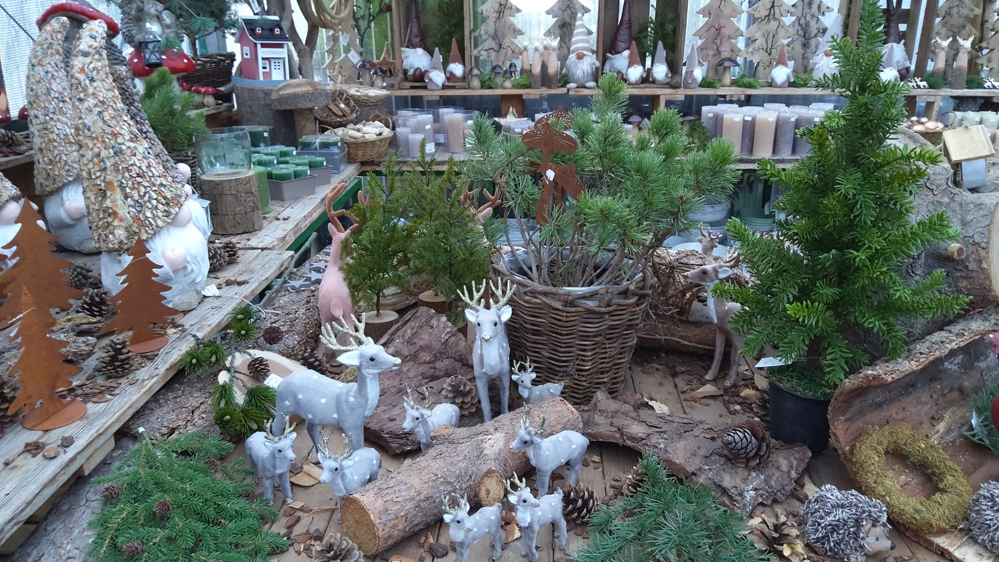 01 Engelhorns Welt 68809 Neulussheim Herbst