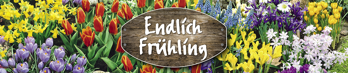 Fruehling Banner Engelhorns Welt 68809 Neulussheim