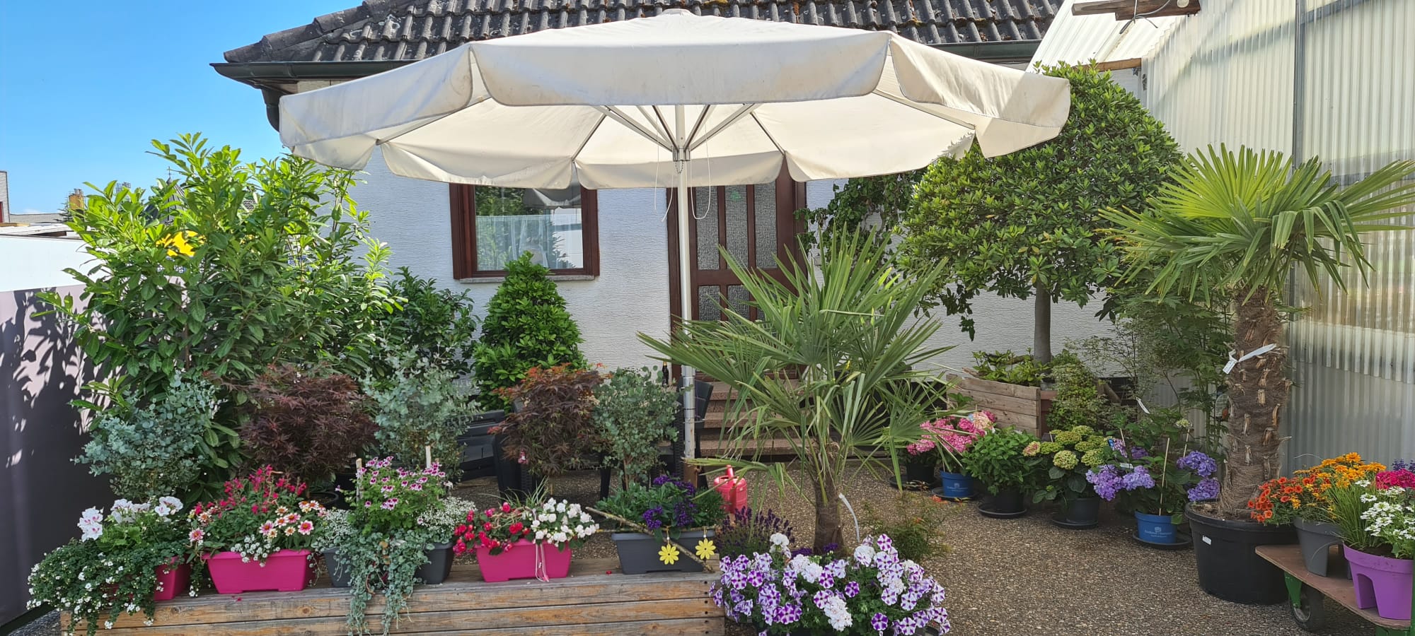 Engelhorns Welt Neulussheim Sommerpause
